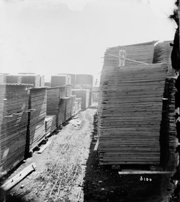 Black and white photograph of a lumber yard. A man stands on a stack of wood four times his size.